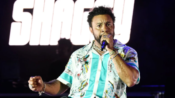 Dancehall Need Billionaires sights Shaggy