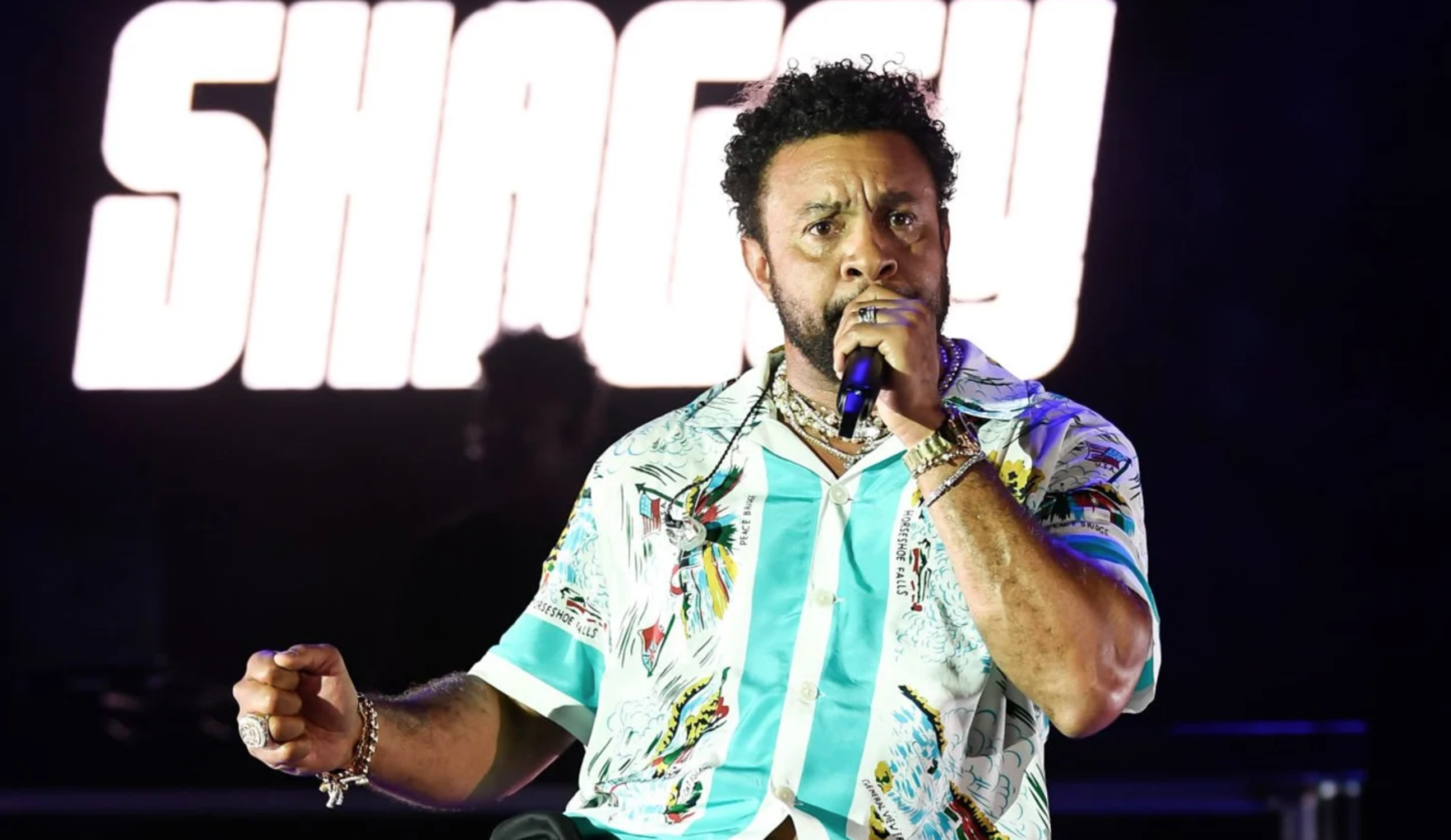 Dancehall Need Billionaires sights Shaggy