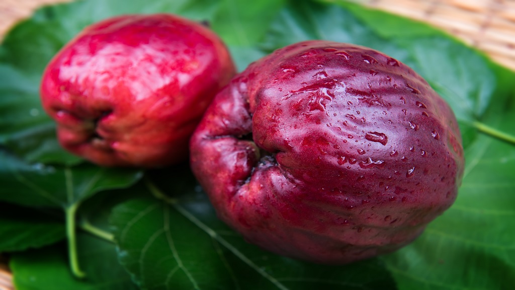 Jamaican Apple