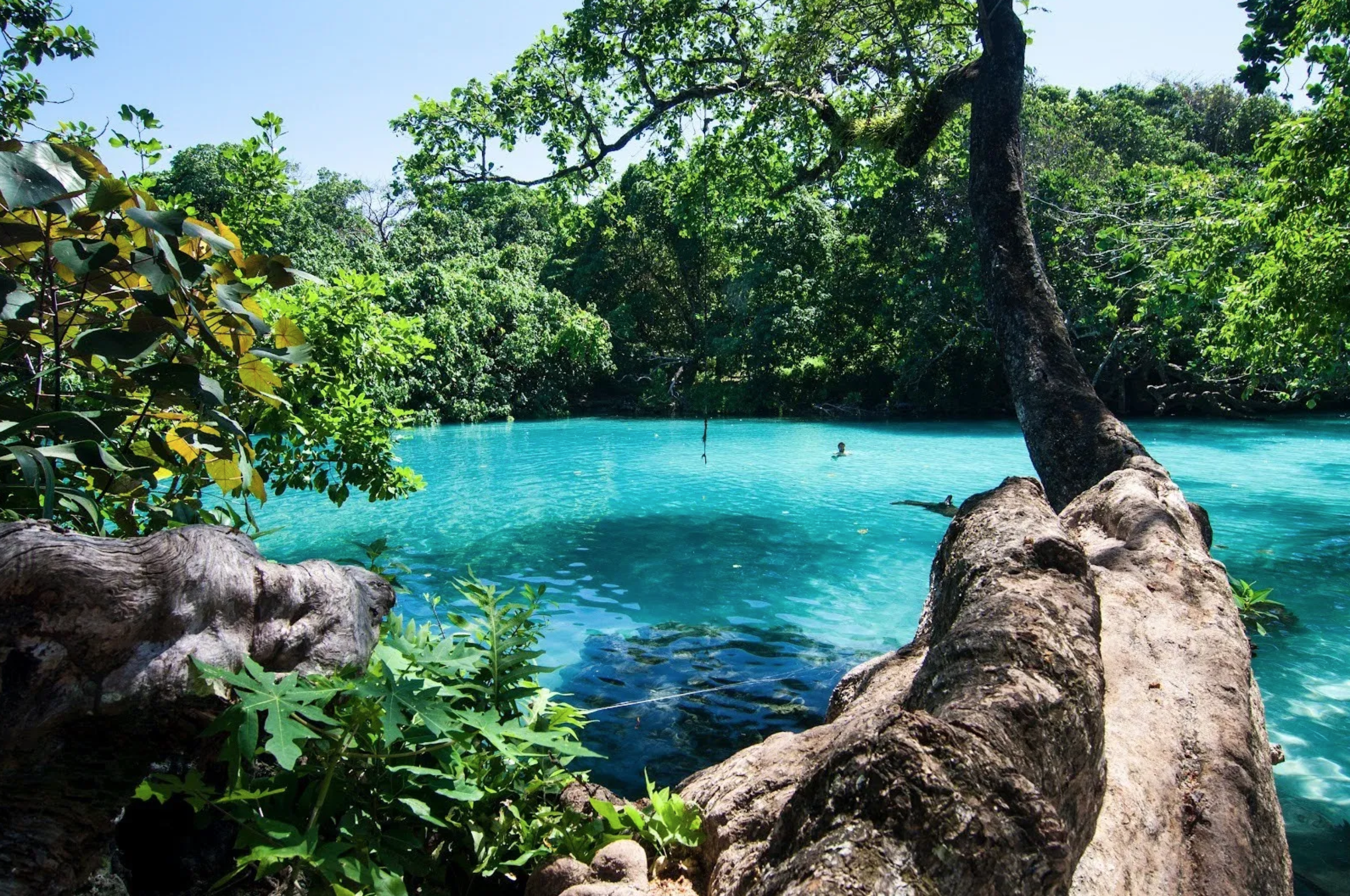 Blue Lagoon Portland Jamaica