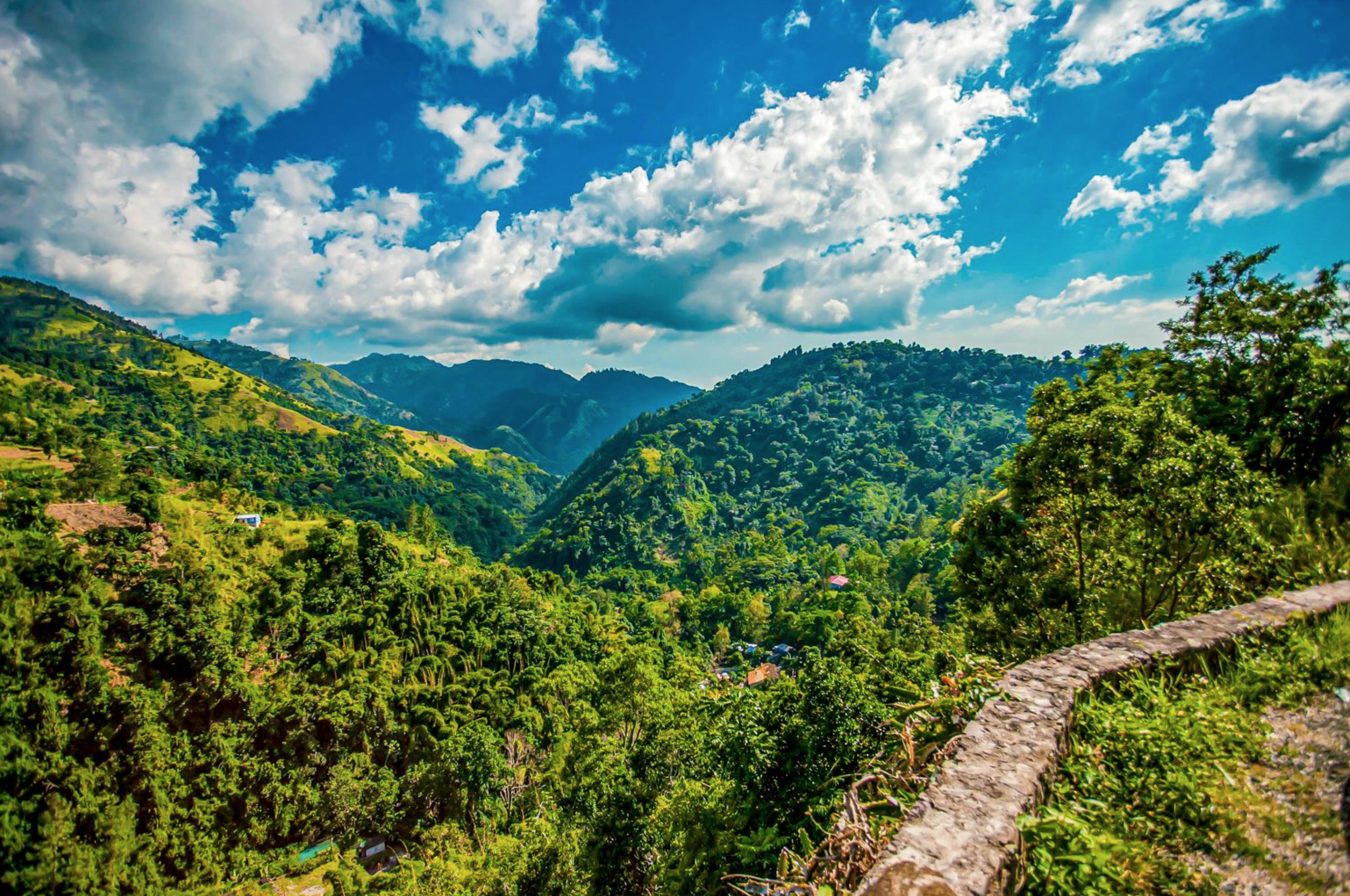 Blue Mountain jamaica tourist attraction