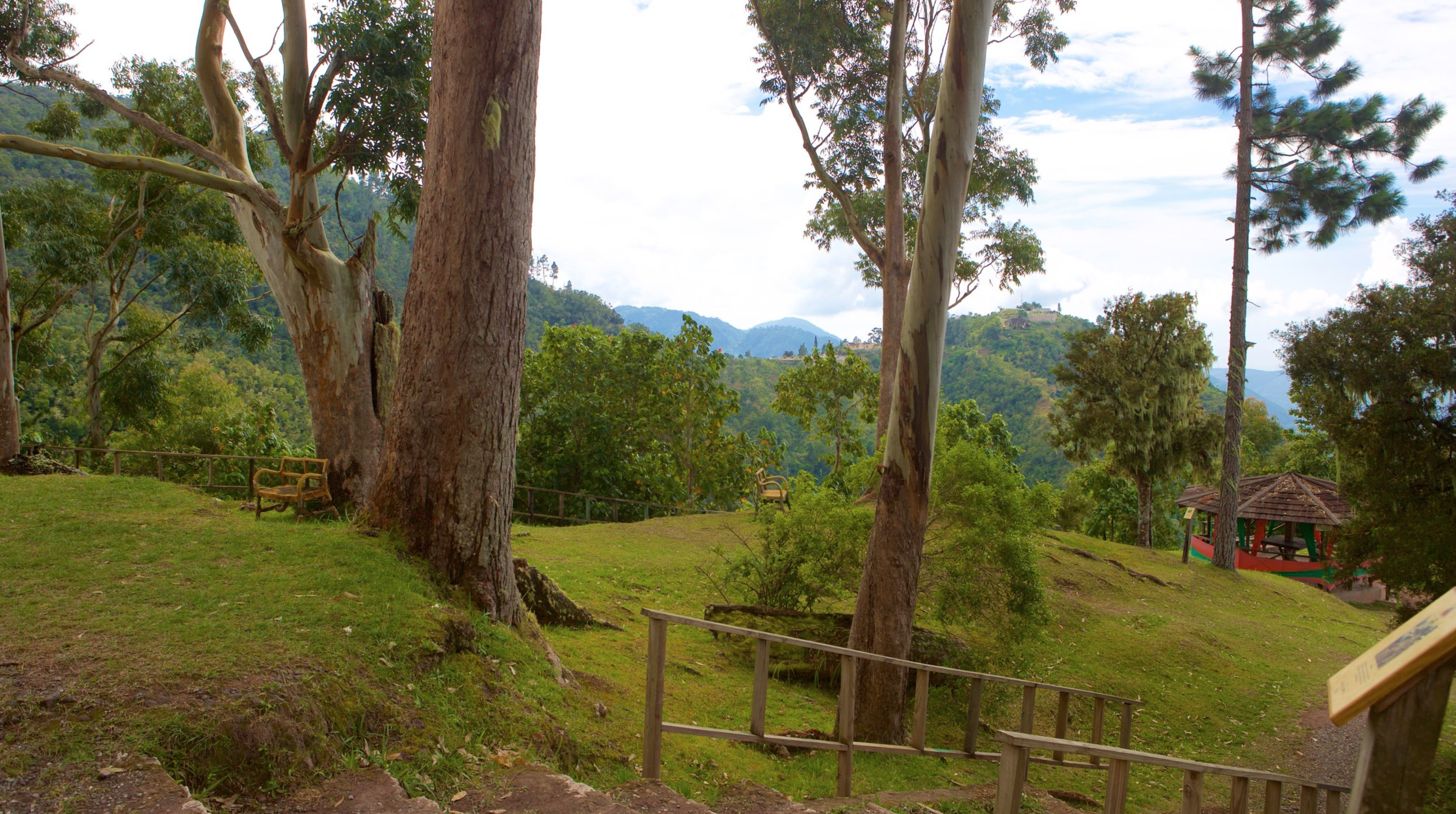 Hollywell Park Blue Mountain Jamaica