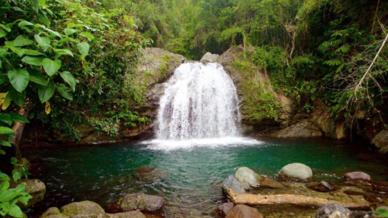 Watter Falls located in Blue Mountains Jamaica